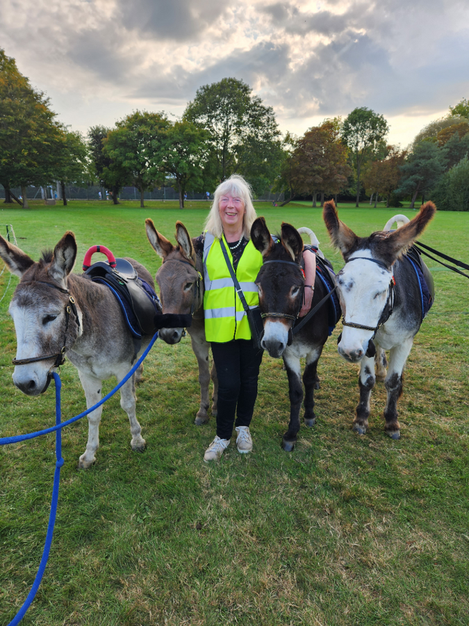 Volunteer with the Donkeys